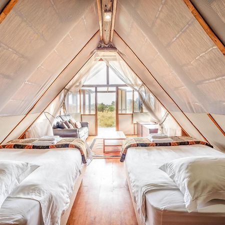 Buffelshoek Tented Camp Wildreservat Manyeleti Exterior foto