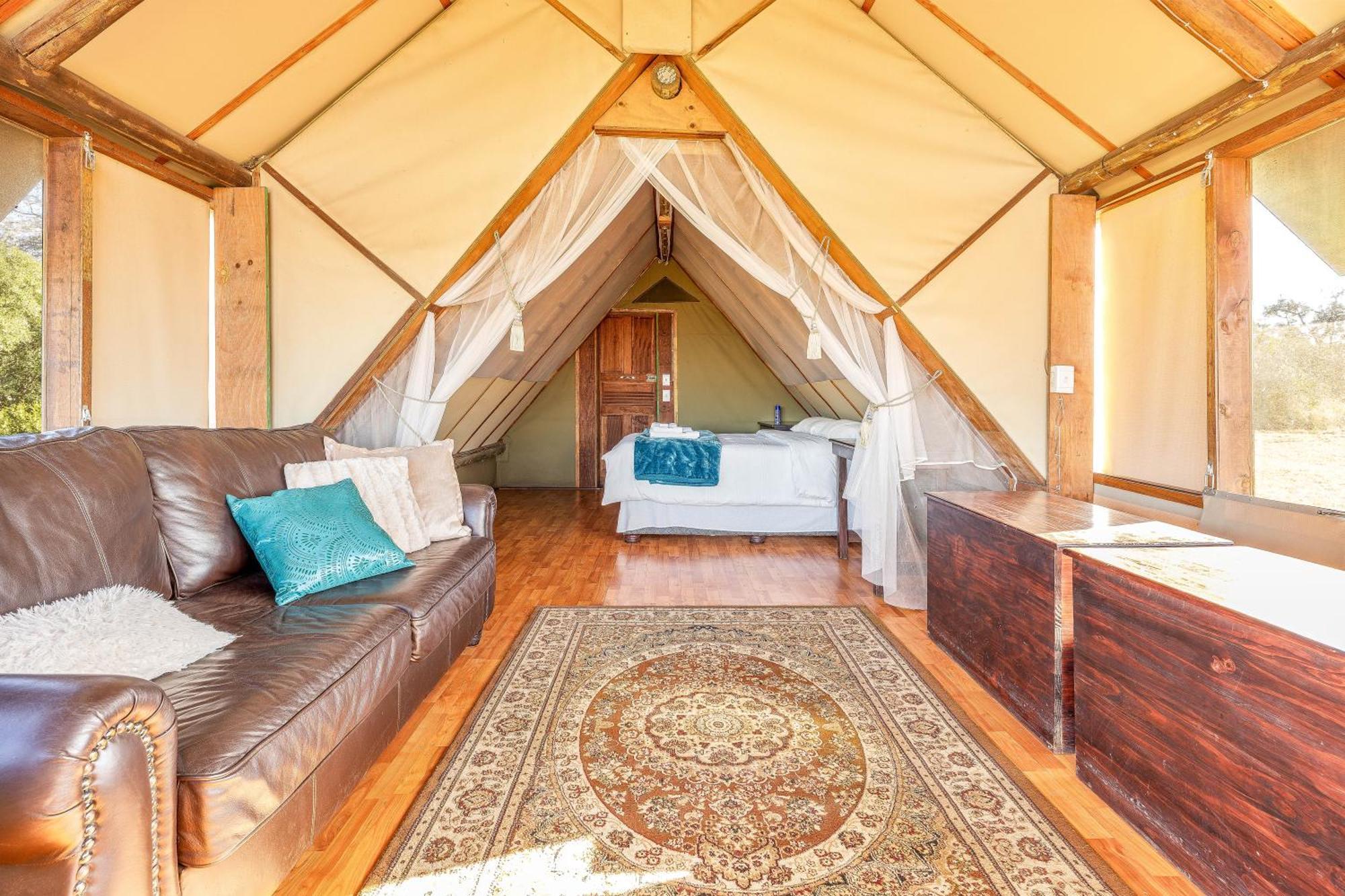 Buffelshoek Tented Camp Wildreservat Manyeleti Exterior foto