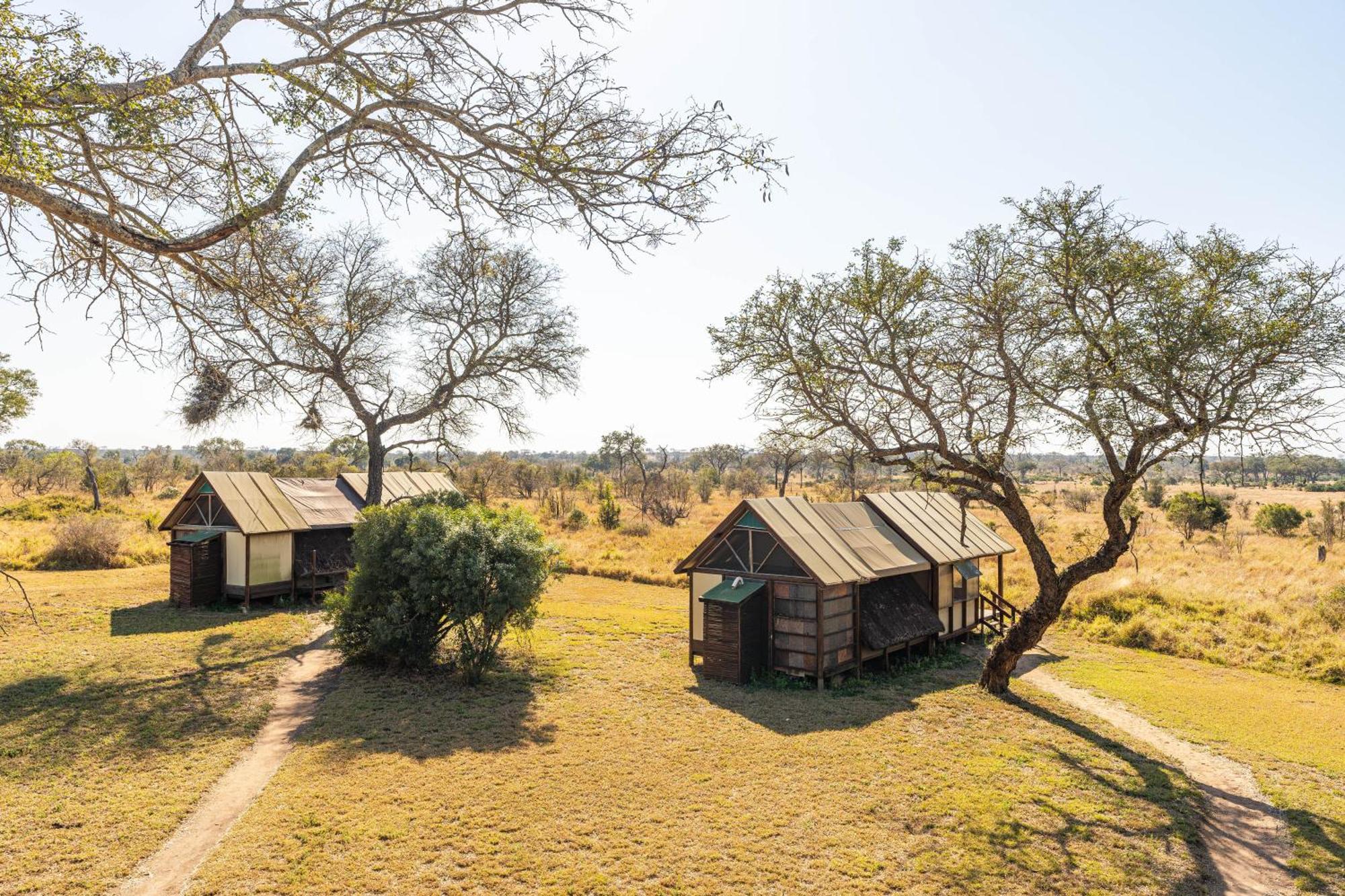 Buffelshoek Tented Camp Wildreservat Manyeleti Zimmer foto