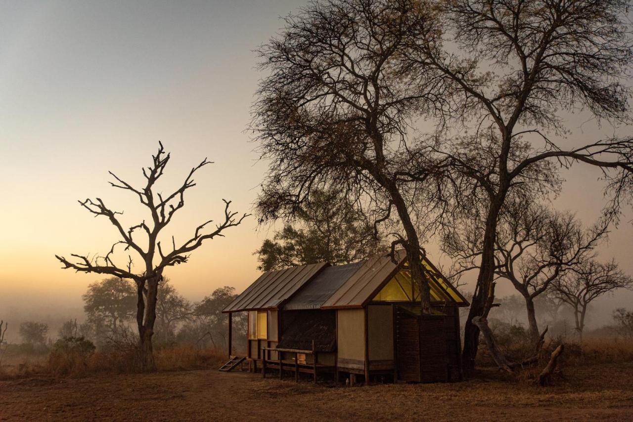 Buffelshoek Tented Camp Wildreservat Manyeleti Exterior foto