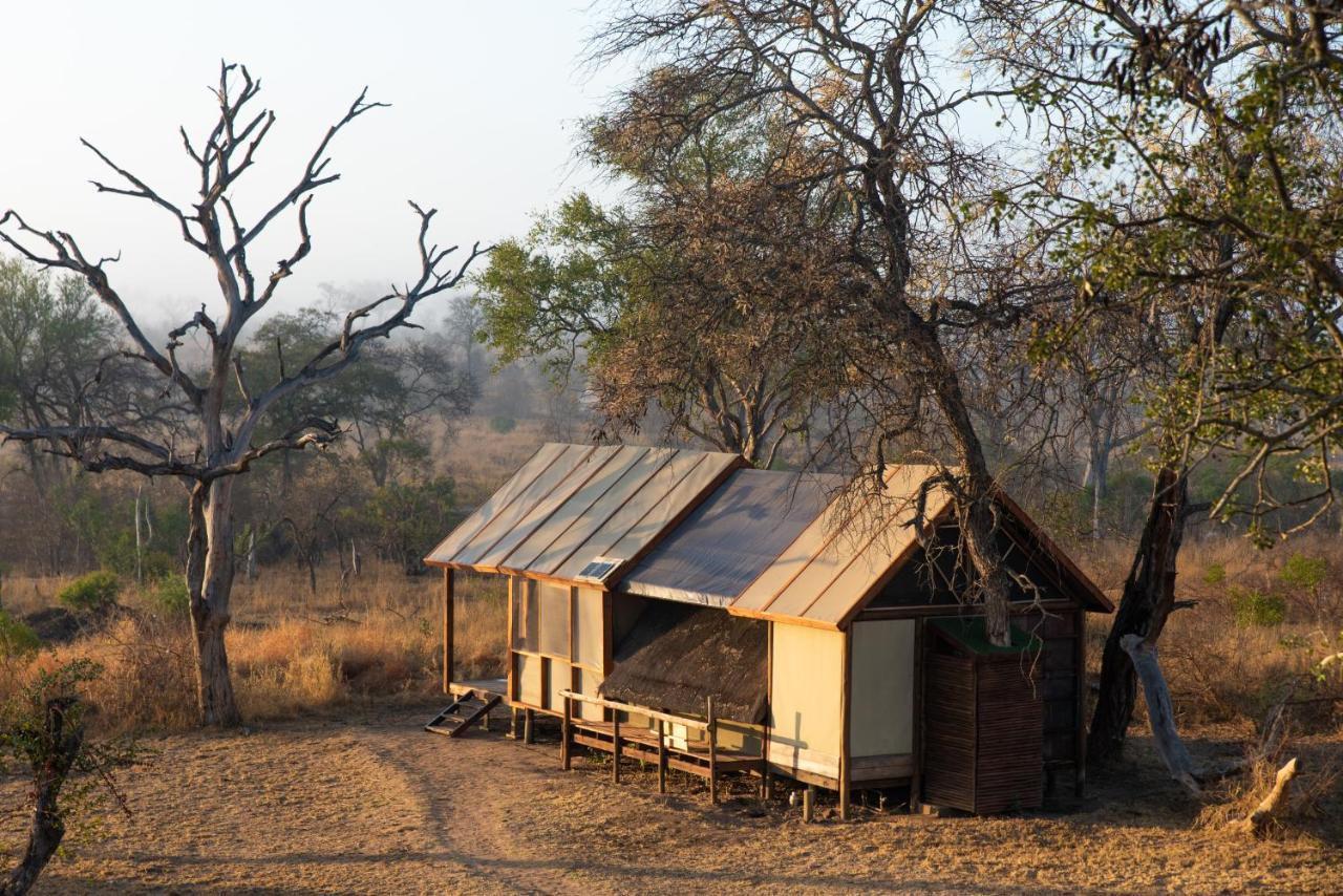 Buffelshoek Tented Camp Wildreservat Manyeleti Exterior foto