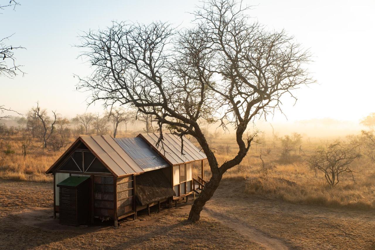 Buffelshoek Tented Camp Wildreservat Manyeleti Exterior foto